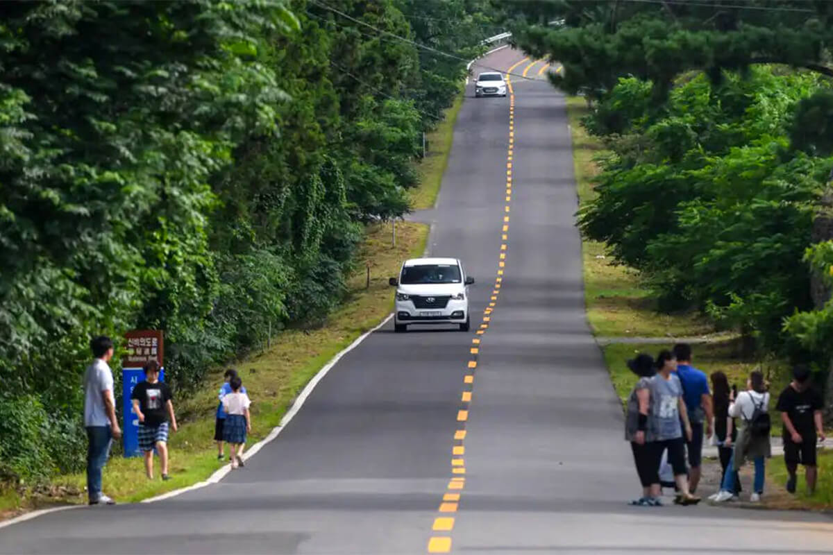 Con đường kỳ bí Mysterious Road (Nguồn: sưu tầm)